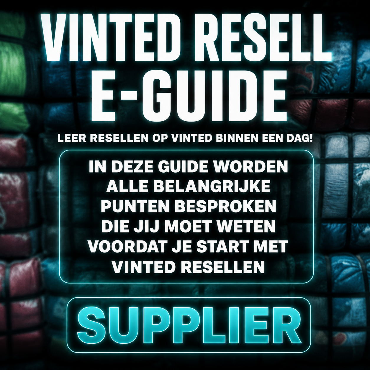 VINTED RESELL E-GUIDE